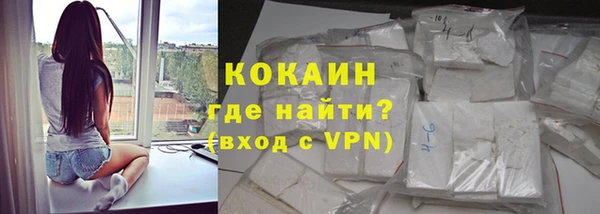 шишки Армянск