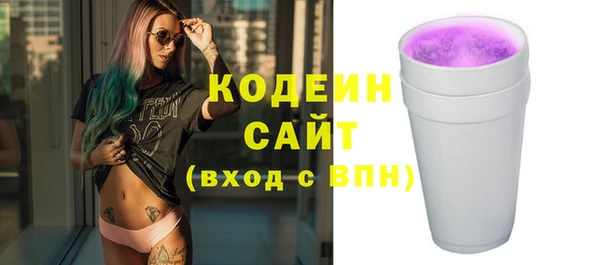 ГАЛЛЮЦИНОГЕННЫЕ ГРИБЫ Арсеньев