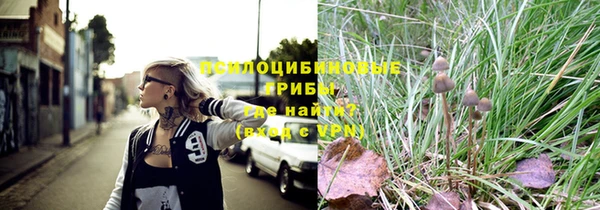 mix Осинники
