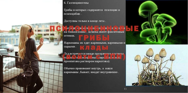 шишки Армянск