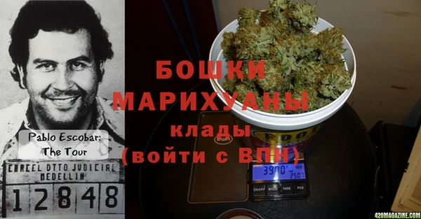 ГАЛЛЮЦИНОГЕННЫЕ ГРИБЫ Арсеньев