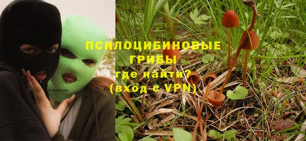 mdpv Балахна