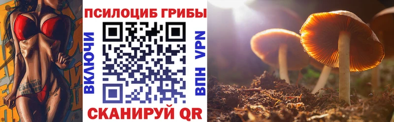 Псилоцибиновые грибы мицелий Новодвинск