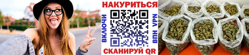Шишки марихуана VHQ  цены   Новодвинск 